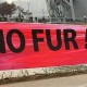 no-fur