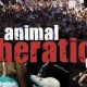 animal-liberationa-day-2013